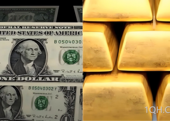 初请数据温和落地，为何市场突然暗流涌动？